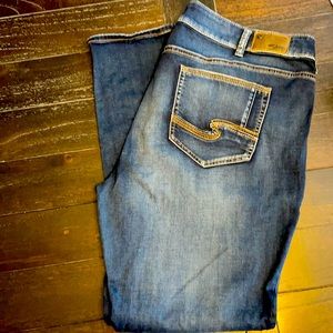 Silver “Suki” Mid Rise Skinny Jean. 22/31